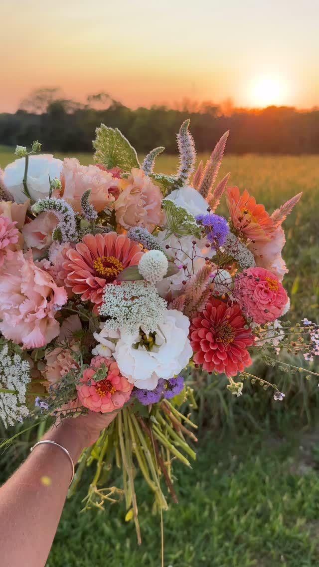 Whimsical Whispers: Playful Petal Symphony